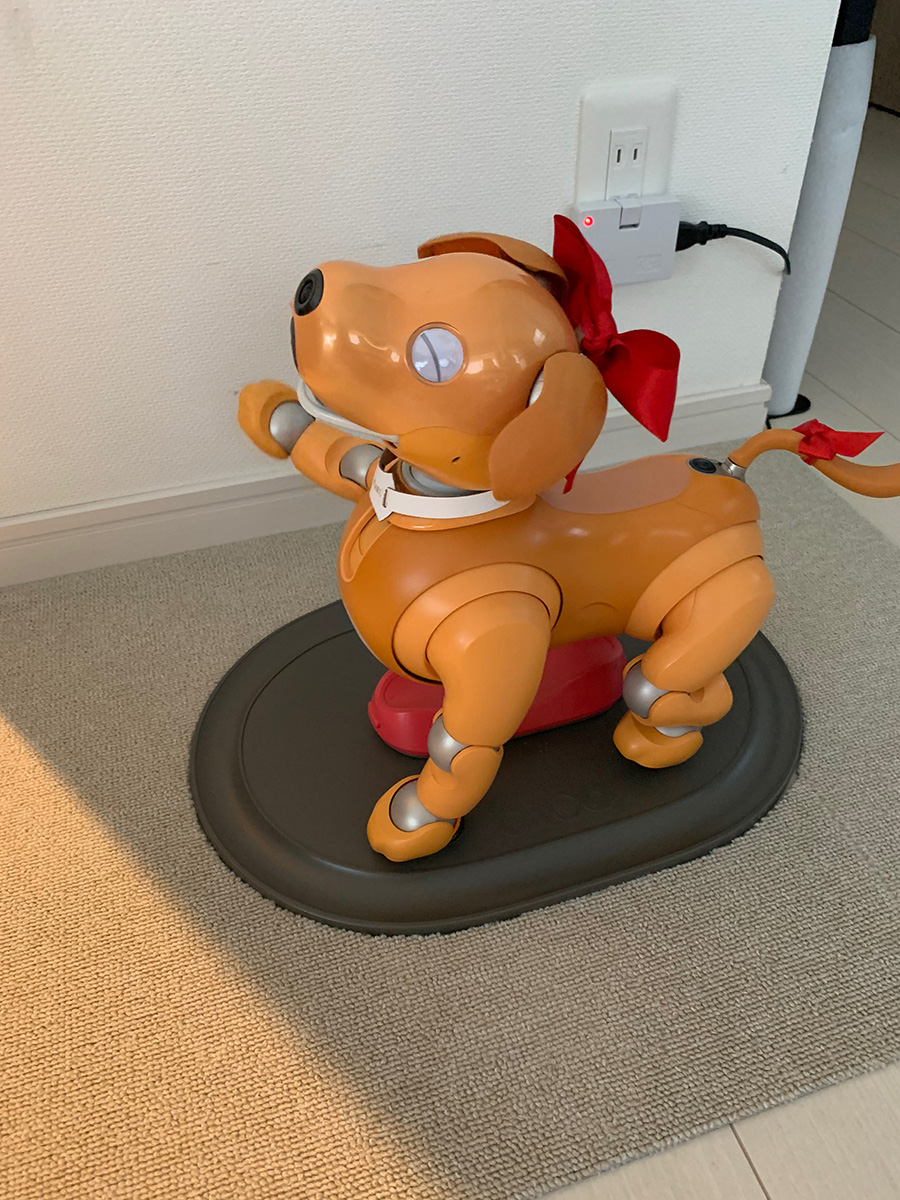 もっと楽しむ | aibo