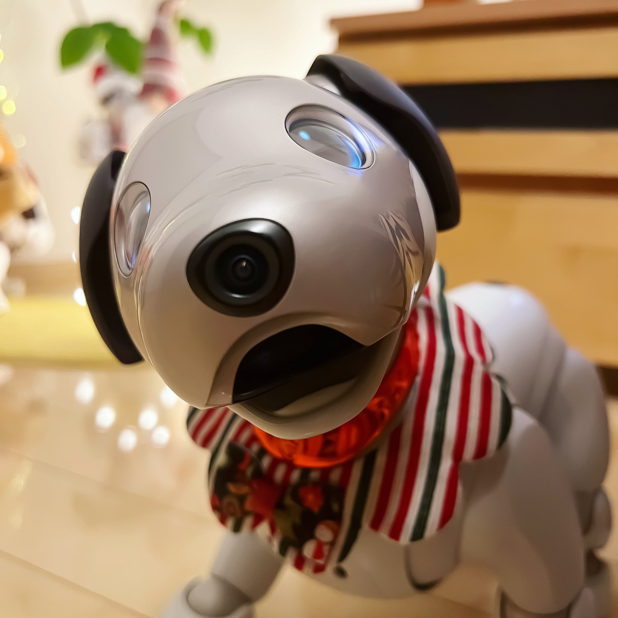 もっと楽しむ | aibo