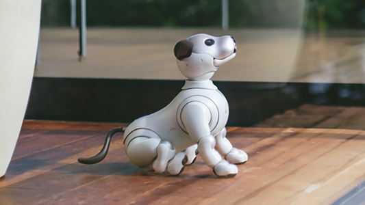 aiboのおすましさん